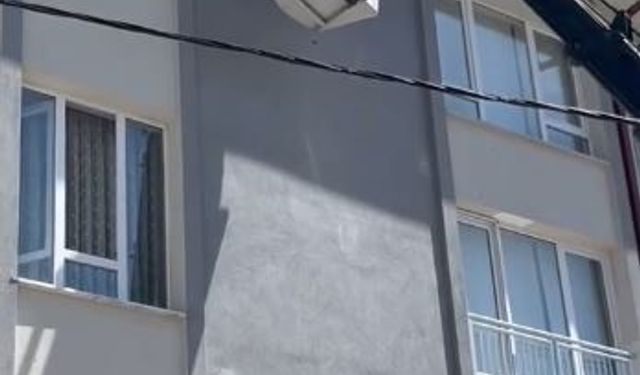 İpe takılarak mahsur kalan kuş, itfaiye ekiplerince kurtarıldı