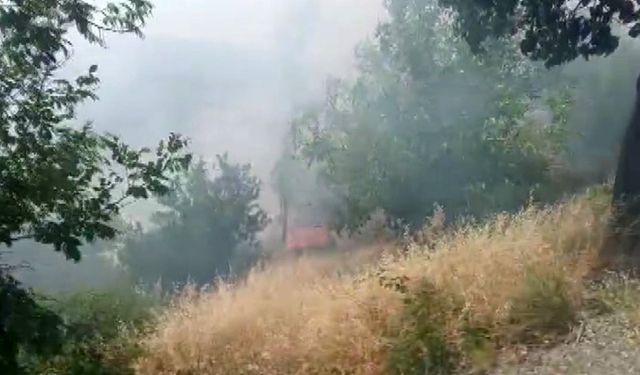 Kahramanmaraş’ta orman yangını büyümeden söndürüldü