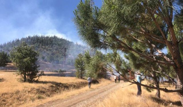 Kahramanmaraş’ta orman yangını