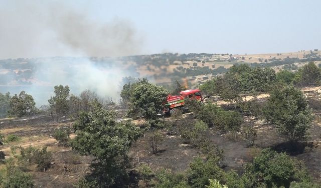 Kırklareli’nde ceviz bahçesi ve orman alanında yangın