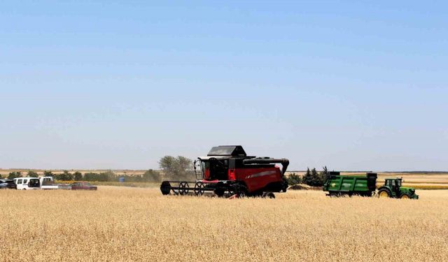 Kırklareli’nde yerli milli 3 yulaf çeşidi hasat edildi