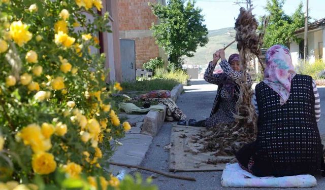 Kollar sağlık için sıvandı: Bayburtlu kadınların yün çırpma mesaisi başladı