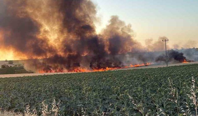 Lüleburgaz’da buğday tarlasında yangın