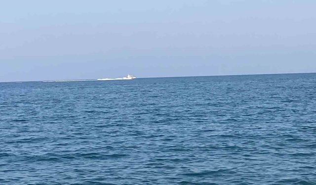 Mersin’de köpekbalığı tedirginliği