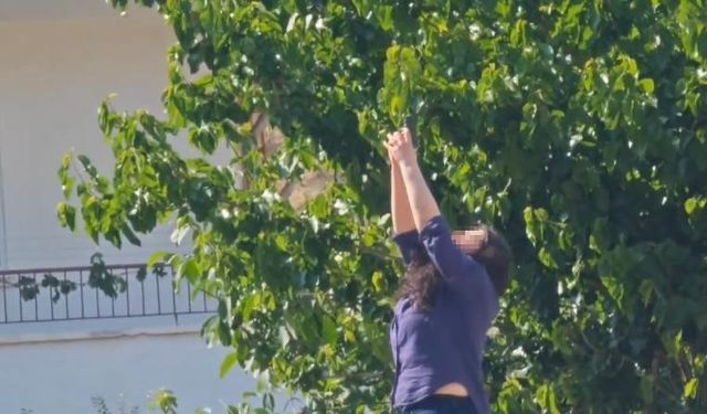 Önce erkek arkadaşının ofisini kurşunladı, sonra intihara kalkıştı