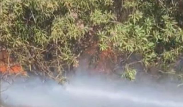 Osmaniye’de çalılık alanda çıkan yangın söndürüldü