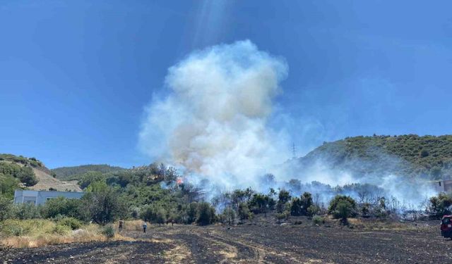 Osmaniye’de çıkan orman yangını söndürüldü