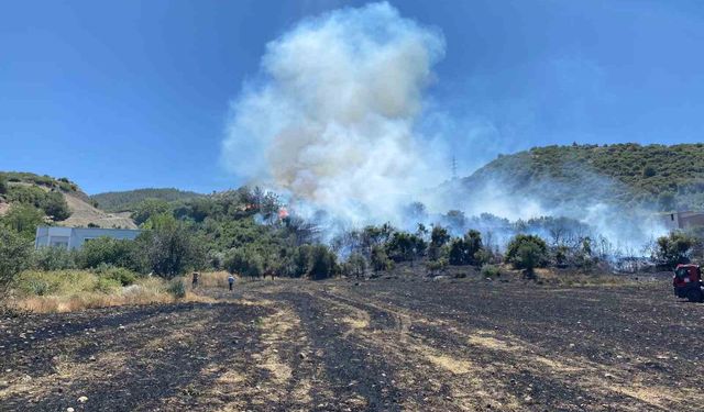 Osmaniye’deki anız yangını ormana sıçradı