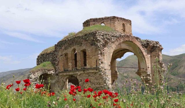 Palu’daki tarihi yapılar fotoğraf karelerine yansıdı