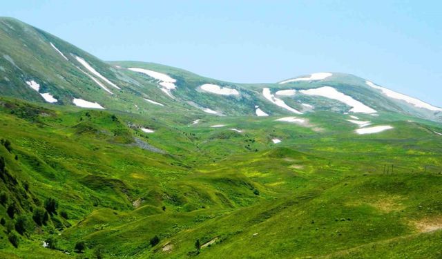 Posof’ta yayla mevsimi başladı