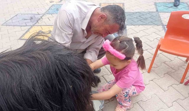 Şırnak’ta öğrencilere keçi sağımı uygulamalı olarak gösterildi