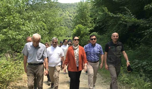 Tesadüfen bulundu, bir ili heyecan sardı