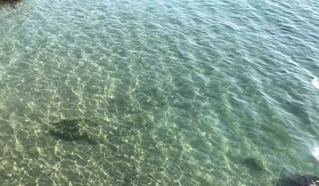Yakıt dökülen deniz temizlendi: Vatandaşlar soluğu İnkumu’nda aldı
