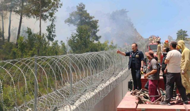 AFAD: "(Hatay Yayladağı) Yangınlara; 734 personel, 7 uçak, 14 helikopter, 215 araç ile müdahale edilmektedir"