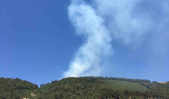 Ahır Dağı’nda bahçe yangını