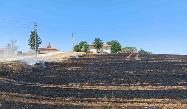 Alaca’da anız yangını