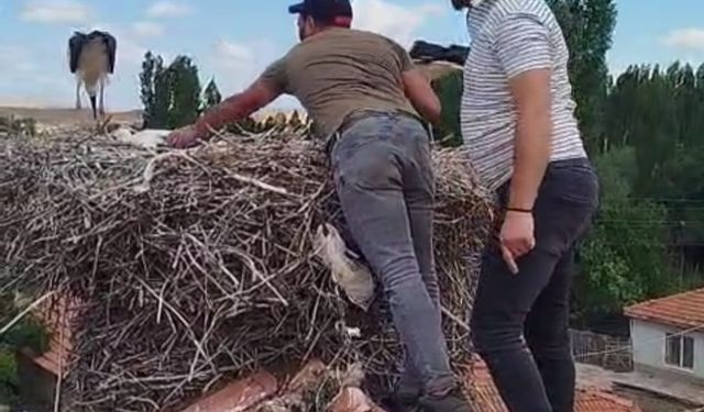 Ayağına ip dolanan leyleği itfaiye ekipleri kurtardı