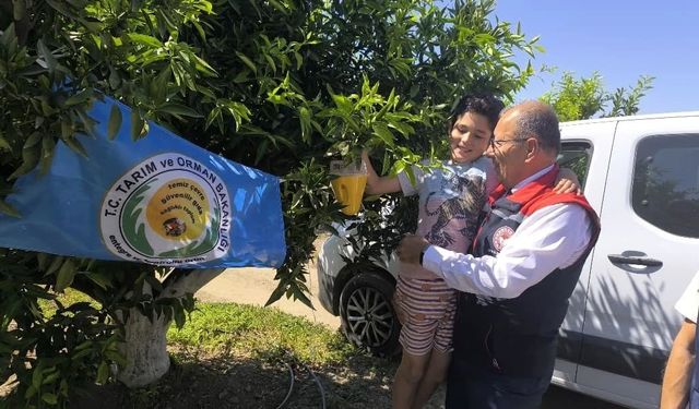 Aydın’da üreticilere 12 bin Akdeniz meyve sineği tuzağı teslim edildi