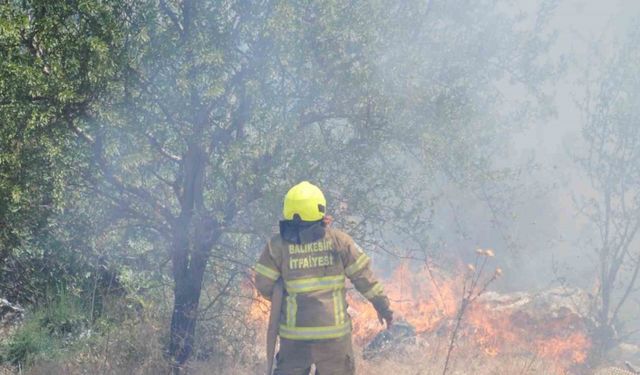 Balıkesir İtfaiyesi 12 günde 971 yangına müdahale etti