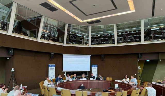 Başkan Arı; Avrupa Konseyi YBYK izleme komitesi toplantısı için Fransa’da