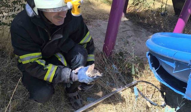 Batman’da kaydırağa sıkışan kediyi itfaiye ekipleri kurtardı