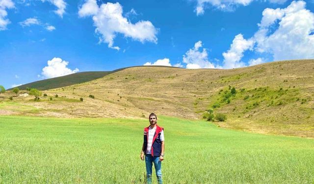 Bayburt’ta yem bitkileri için saha çalışmaları sürüyor