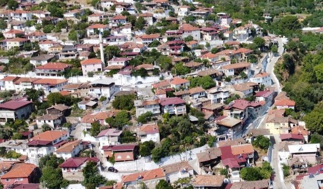 Bozdoğan beyaza boyandı