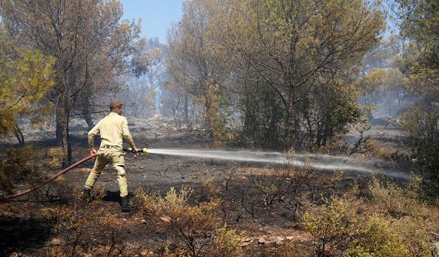 Burhaniye’de orman yangınına havadan ve karadan müdahale ediliyor