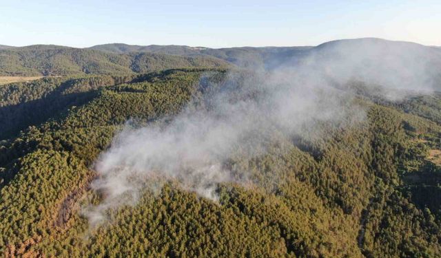 Çankırı’daki orman yangını 6 buçuk saatlik çalışmayla kontrol altına alındı