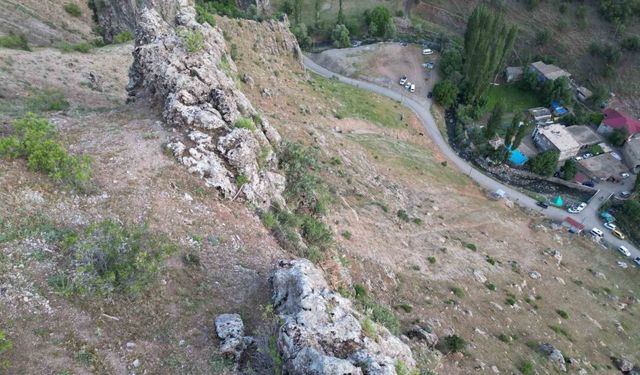 Dağ keçileri köye indi