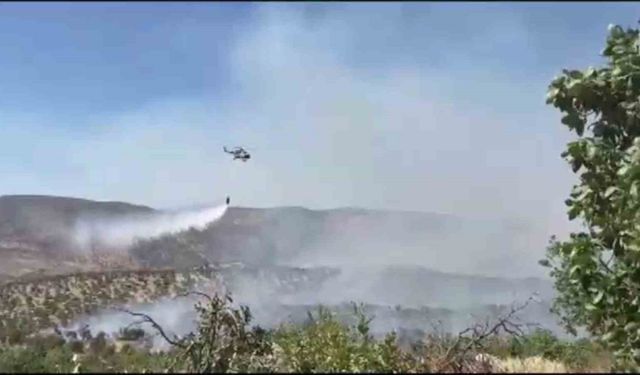 Gabar Dağı’nda orman yangını