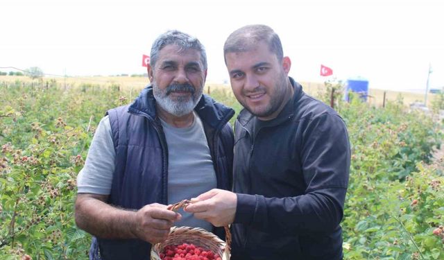 Hobi olarak başladığı işte talebe yetişemiyor