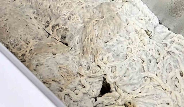 İşkembe görünümlü zula ekipleri şaşırttı