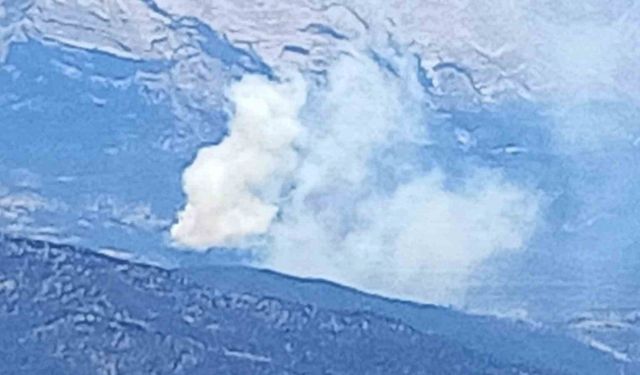 Isparta’da ormanlık alanda yangın