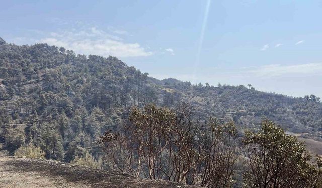 Kahramanmaraş’ta bin 500 hektar alanı etkileyen orman yangını kontrol altına alındı