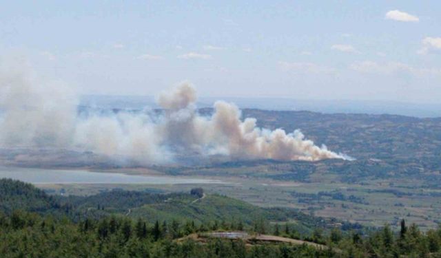 Kahramanmaraş’ta orman yangını