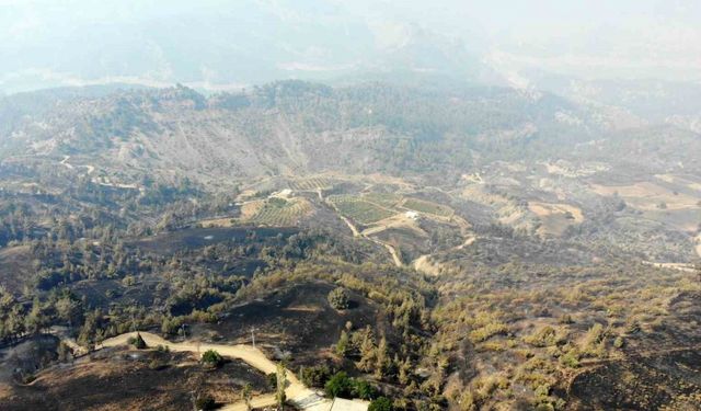 Kahramanmaraş’ta orman yangınına müdahale 3’üncü gününde de sürüyor