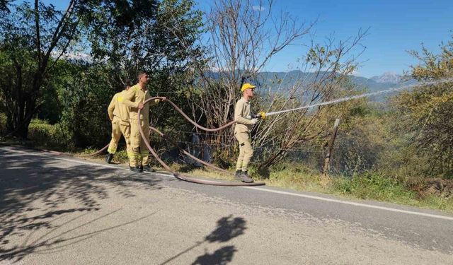 Kahramanmaraş’taki orman yangını söndürüldü