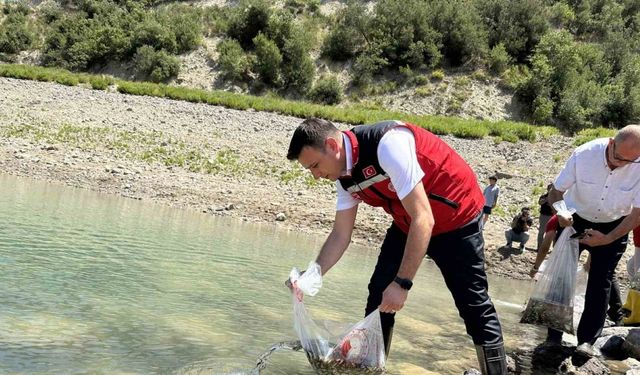 Karacaören Göleti’ne ilk kez 10 bin pullu sazan yavrusu bırakıldı