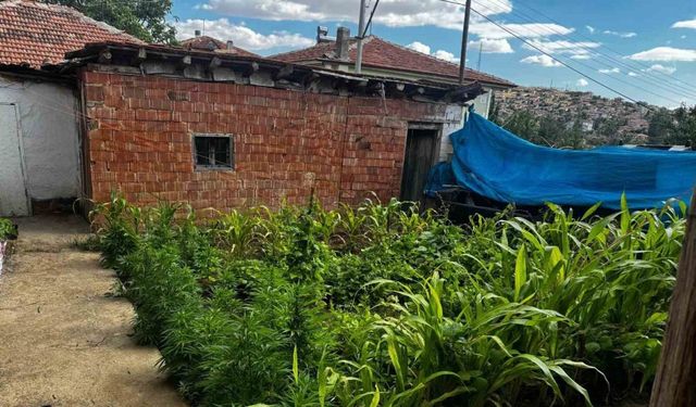 Kırıkkale’de uyuşturucu operasyonu: Aynı aileden 3 şüpheliye gözaltı