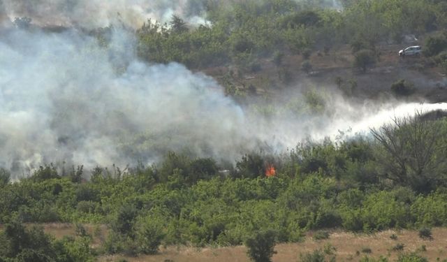 Kırklareli’nde ağaçlık alanda yangın: 150 dekar alan zarar gördü