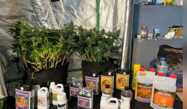 Kırklareli’nde uyuşturucu operasyonu: 3 gözaltı