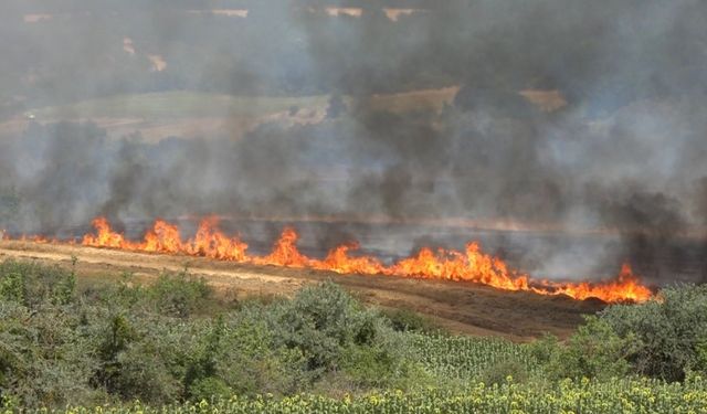Kırklareli’nde yangın: 500 dekar tarım arazisi ve ağaçlık alan zarar gördü