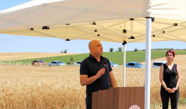 Kırklareli’nde yerli ve milli buğday hasadı yapıldı