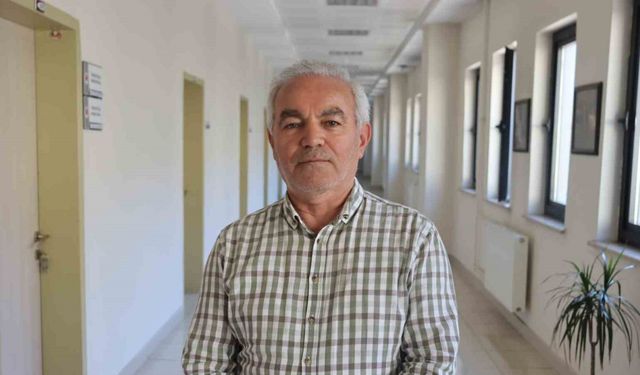 Küresel ısınma, sıcaklık ve rutubet, kene popülasyonunu artırdı