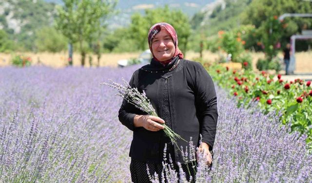 Lavanta Kokulu Hanımağalar