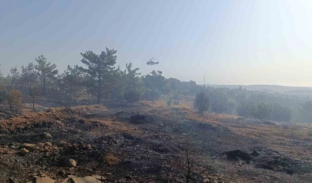 Mersin’deki orman yangını: Havadan müdahale başladı