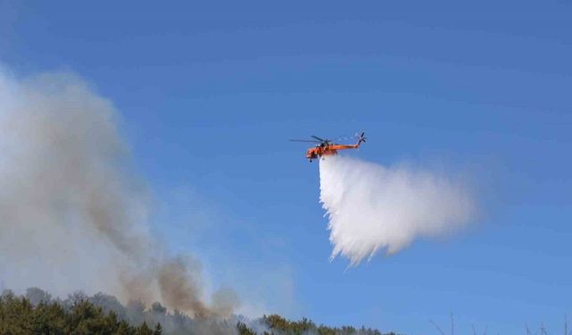 Muğla’daki orman yangını kısmen kontrol altına alındı