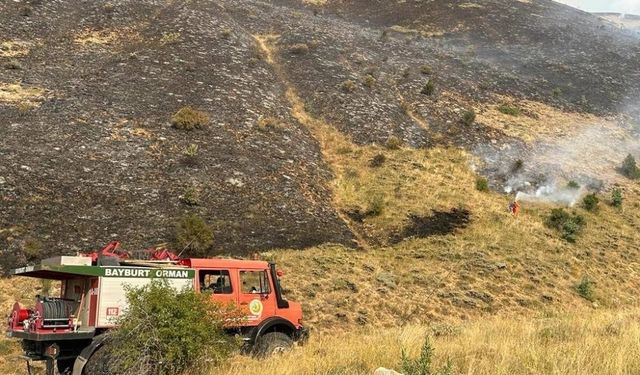 Orman yangınında yapılması gerekenler sıralandı