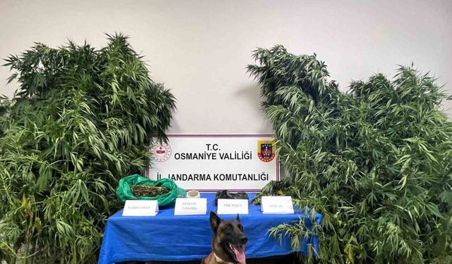 Osmaniye’de 1 haftada 105 şüpheli yakalandı